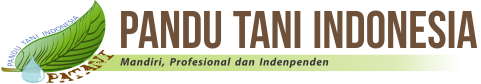 Canvas Logo